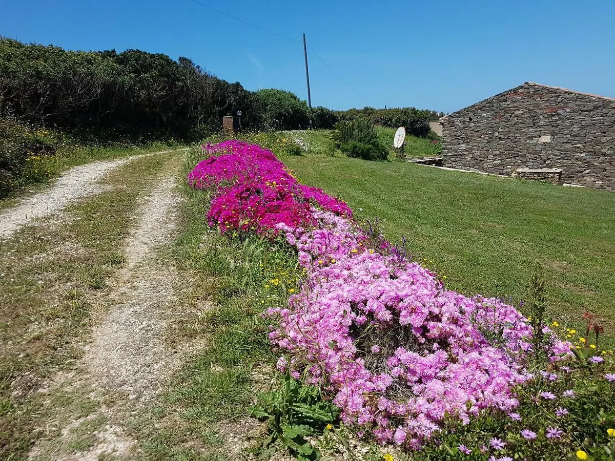 La Chintana Villa Palmadula Italy
