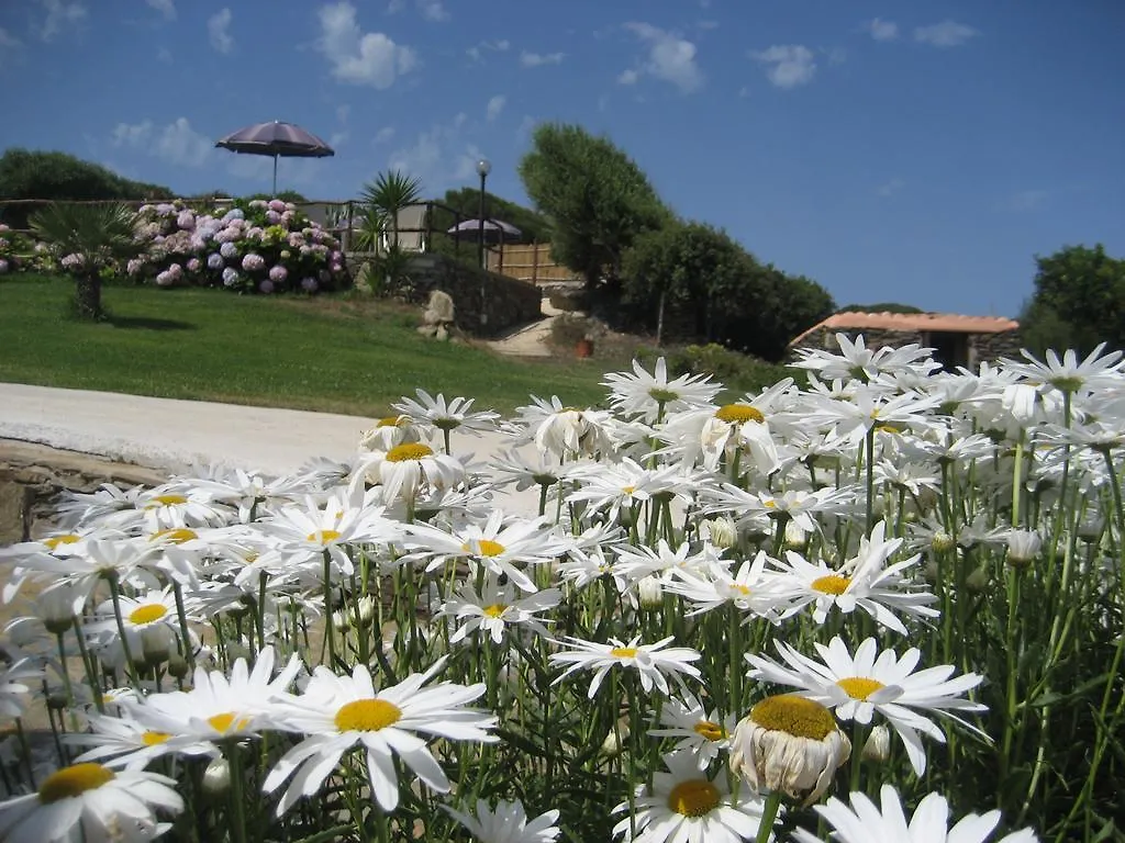 Villa La Chintana Palmadula Italia