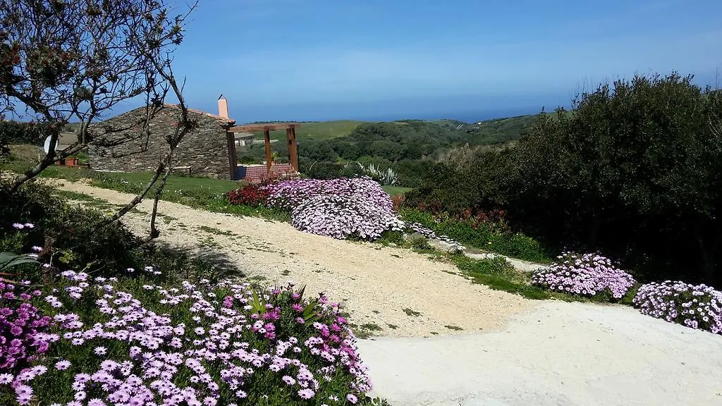 Сasa de vacaciones Villa La Chintana Palmadula Italia